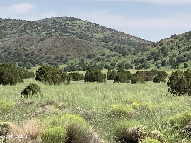 23320 Forest Service 548 Rd, Flagstaff, AZ 86001 - photo 2