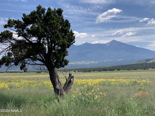 23320 Forest Service 548 Rd, Flagstaff, AZ 86001 - photo 16