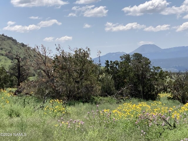 23320 Forest Service 548 Rd, Flagstaff, AZ 86001 - photo 12