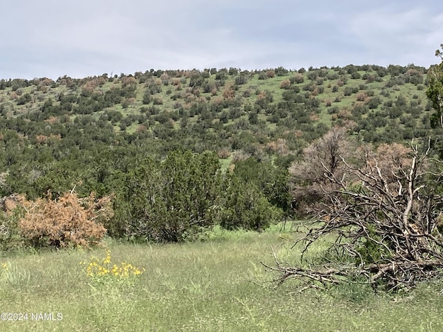 23320 Forest Service 548 Rd, Flagstaff, AZ 86001 - photo 11