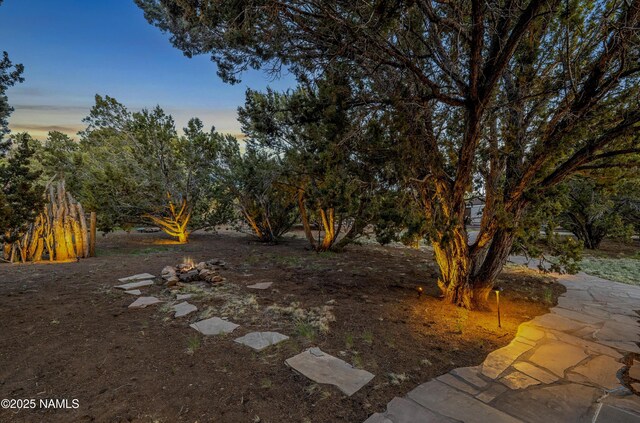 38 Cosnino Rd, Flagstaff, AZ 86004 - view of yard