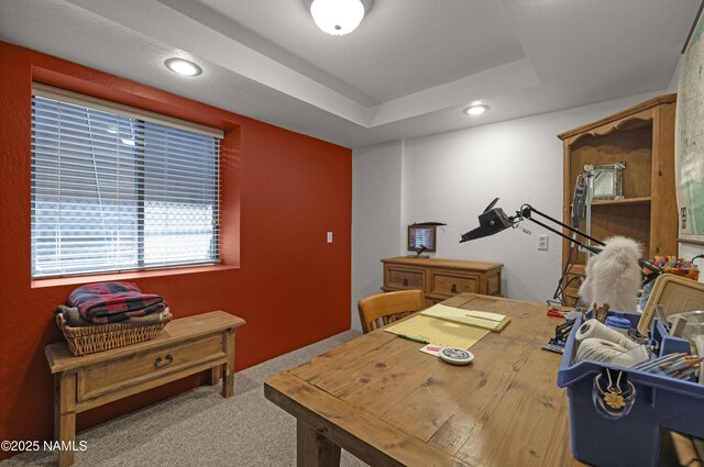 38 Cosnino Rd, Flagstaff, AZ 86004 - carpeted office with a tray ceiling and recessed lighting