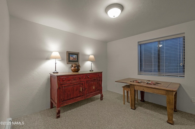 38 Cosnino Rd, Flagstaff, AZ 86004 - game room with light colored carpet
