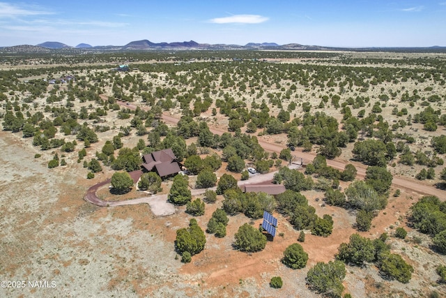 38 Cosnino Rd, Flagstaff, AZ 86004 - overview of rural landscape with a mountain backdrop and a desert landscape
