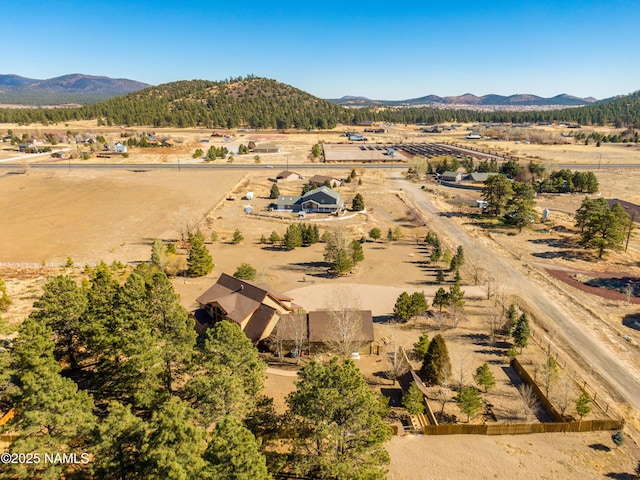 drone / aerial view featuring a mountain view