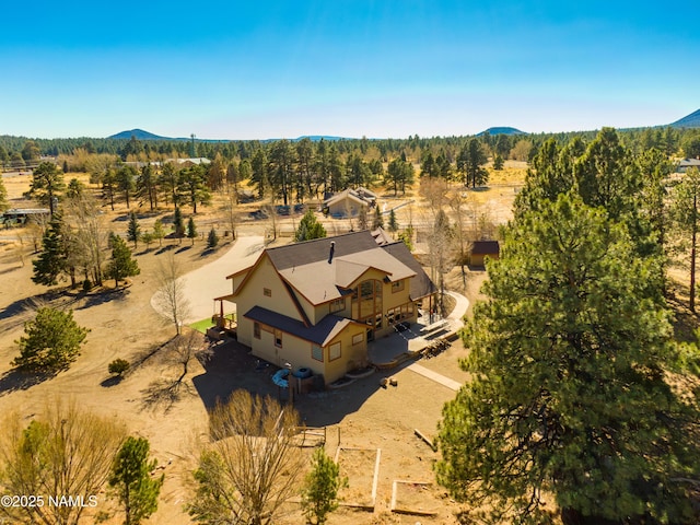 birds eye view of property featuring a mountain view