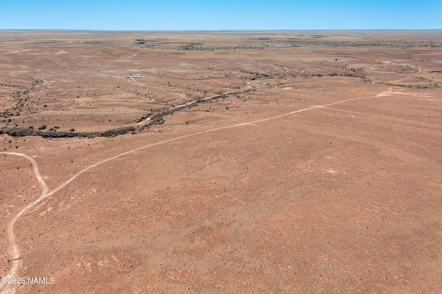 bird's eye view featuring a desert view