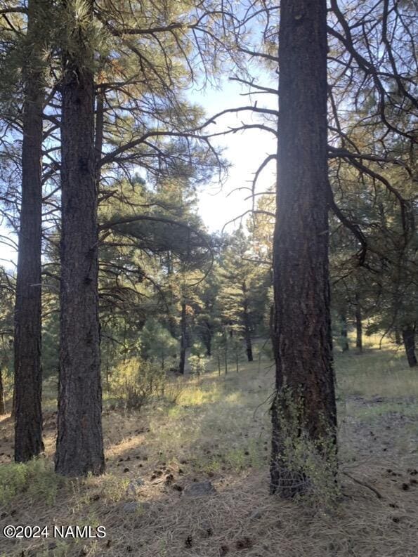 144 N W Park Rd Unit 7, Parks, AZ 86018 - photo 1