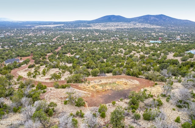 793 Shooting Star Ln, Williams, AZ 86046 - photo 2