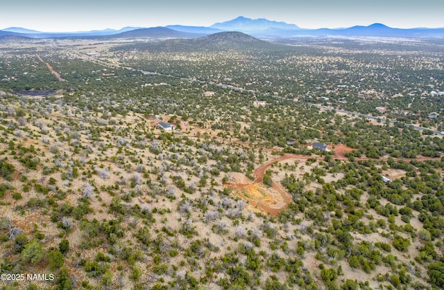 793 Shooting Star Ln, Williams, AZ 86046 - photo 5