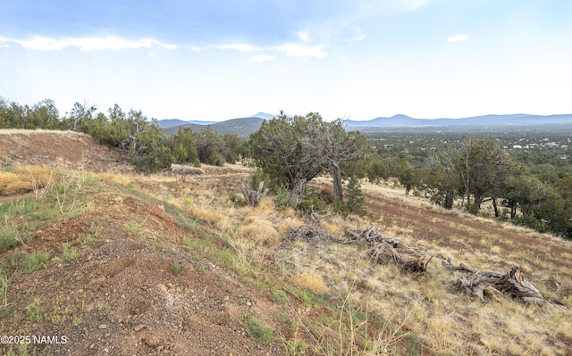 793 Shooting Star Ln, Williams, AZ 86046 - photo 10