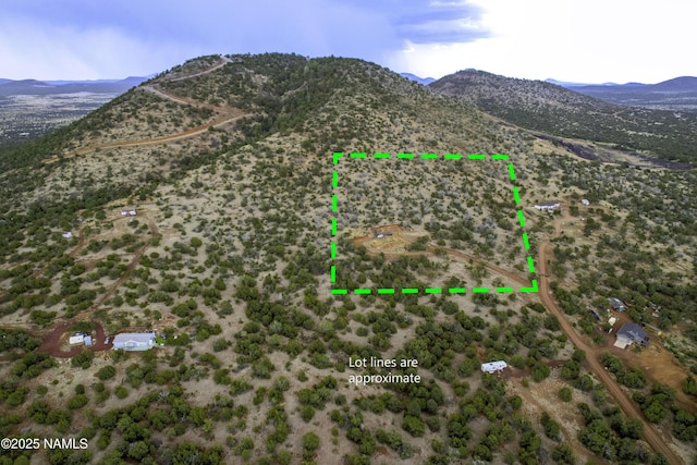 793 Shooting Star Ln, Williams, AZ 86046 - photo 3