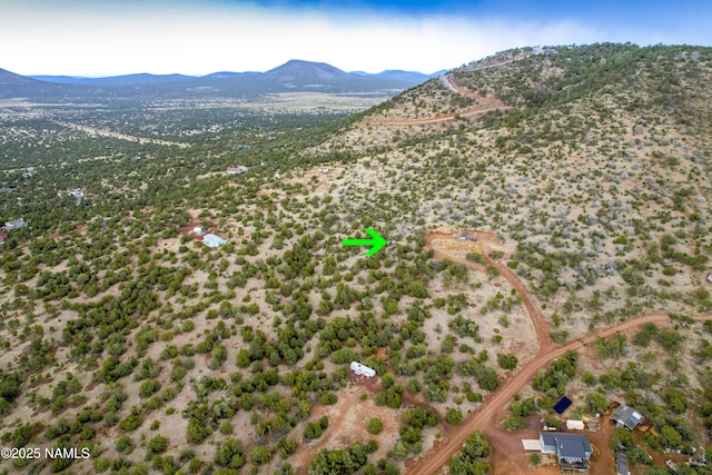 793 Shooting Star Ln, Williams, AZ 86046 - photo 1