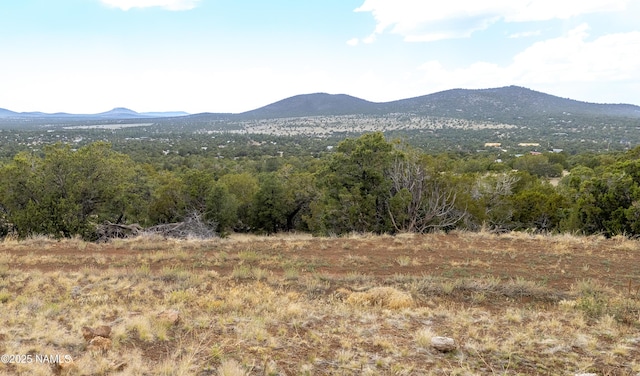 793 Shooting Star Ln, Williams, AZ 86046 - photo 9