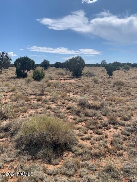 795 S Lodestar Dr Unit 384, Williams, AZ 86046 - photo 3
