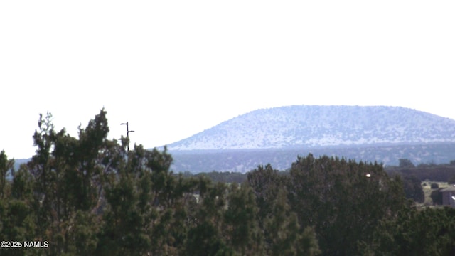 3725 S Carmen Rd, Williams, AZ 86046 - photo 6