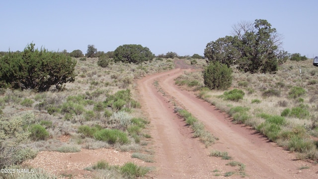 3725 S Carmen Rd, Williams, AZ 86046 - photo 8
