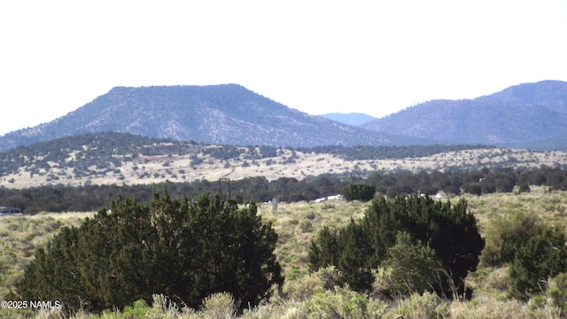 3725 S Carmen Rd, Williams, AZ 86046 - photo 2