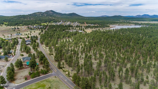 609 Brookline Loop, Williams, AZ 86046 - photo 42