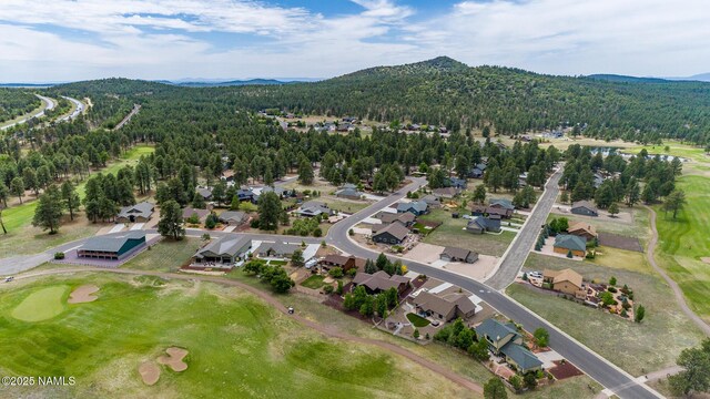 609 Brookline Loop, Williams, AZ 86046 - photo 43