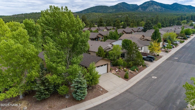 609 Brookline Loop, Williams, AZ 86046 - photo 41