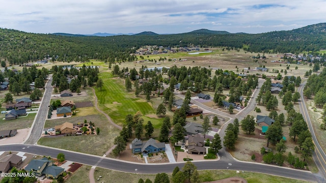 609 Brookline Loop, Williams, AZ 86046 - photo 46