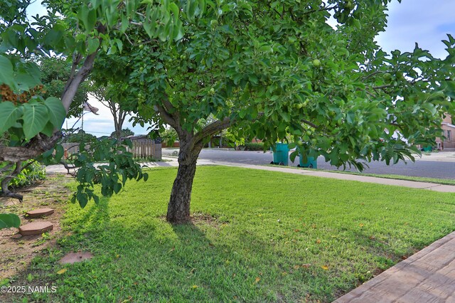 203 W Gilmore St, Winslow, AZ 86047 - photo 5