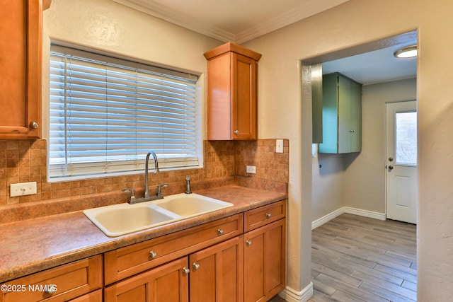 kitchen featuring wood finished floors, a sink, baseboards, decorative backsplash, and crown molding