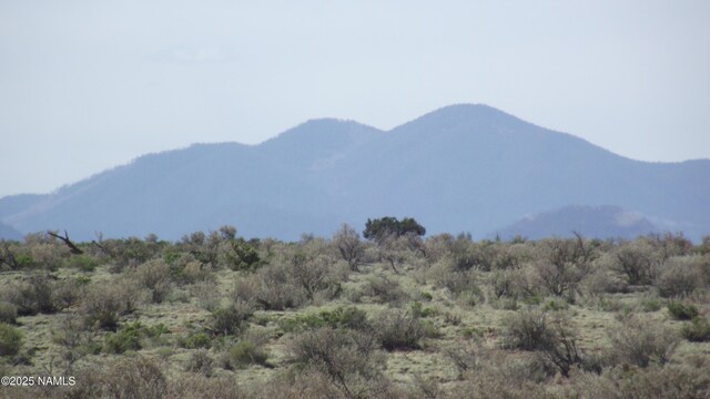 64 S Laguna Dr, Williams, AZ 86046 - photo 6