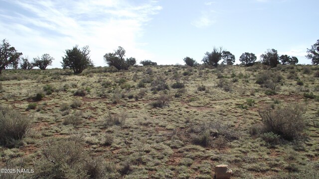 64 S Laguna Dr, Williams, AZ 86046 - photo 3