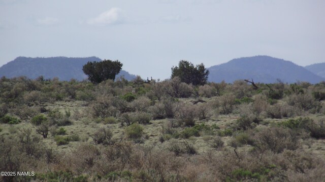 64 S Laguna Dr, Williams, AZ 86046 - photo 11