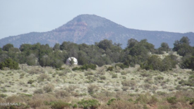 64 S Laguna Dr, Williams, AZ 86046 - photo 5