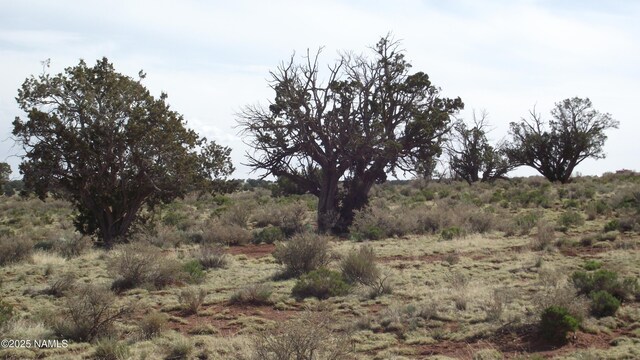 64 S Laguna Dr, Williams, AZ 86046 - photo 2