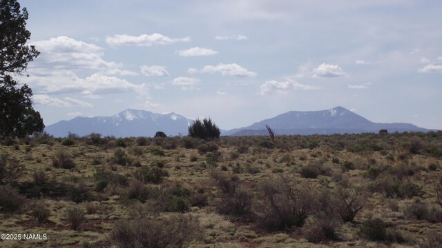 64 S Laguna Dr, Williams, AZ 86046 - photo 7