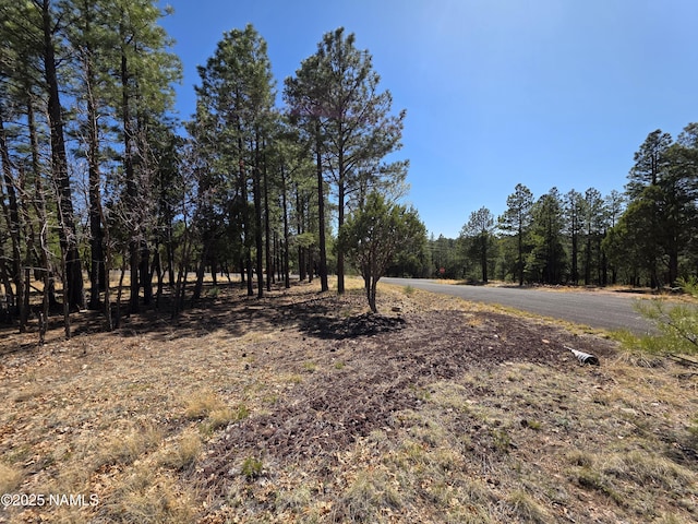 3286 Roundup Ln, Happy Jack, AZ 86024