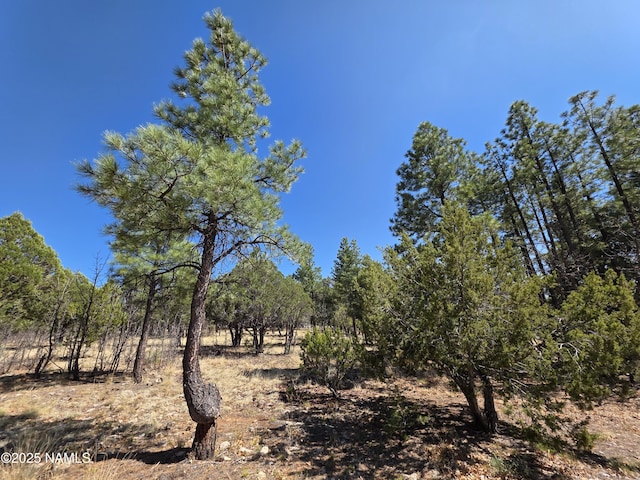 3286 Roundup Ln, Happy Jack, AZ 86024