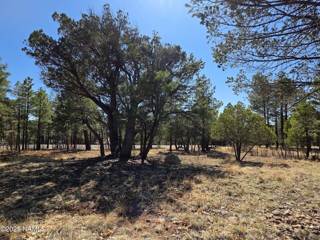 3286 Roundup Ln, Happy Jack, AZ 86024
