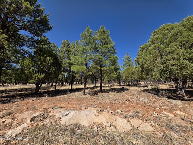 3286 Roundup Ln, Happy Jack, AZ 86024