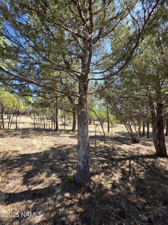 3286 Roundup Ln, Happy Jack, AZ 86024
