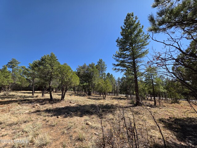 3286 Roundup Ln, Happy Jack, AZ 86024