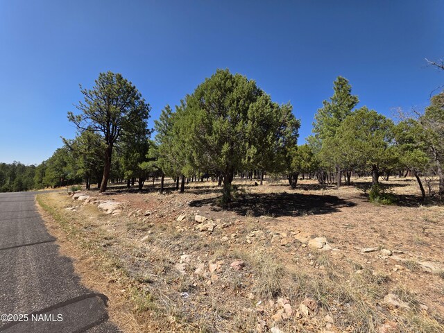 3286 Roundup Ln, Happy Jack, AZ 86024