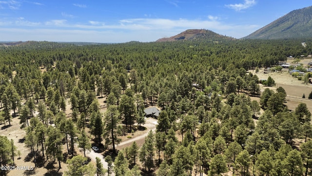 7530 N Rain Valley Rd, Flagstaff, AZ 86004 - aerial view of a forest and a mountain backdrop