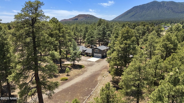 7530 N Rain Valley Rd, Flagstaff, AZ 86004 - mountain view featuring a forest
