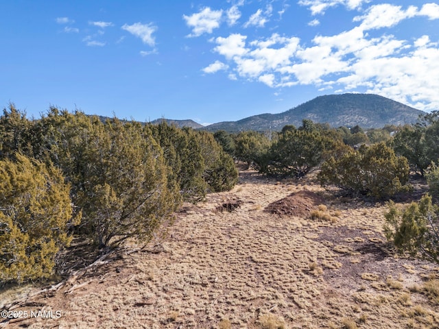 2108 E Clear Point Way, Williams AZ, 86046 land for sale