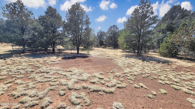 1385 E Birchwood Dr, Williams, AZ 86046