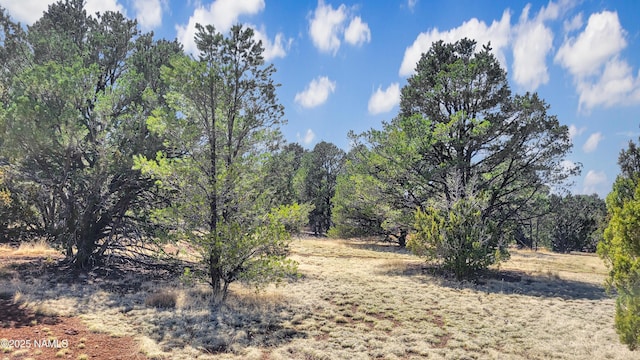 1385 E Birchwood Dr, Williams, AZ 86046