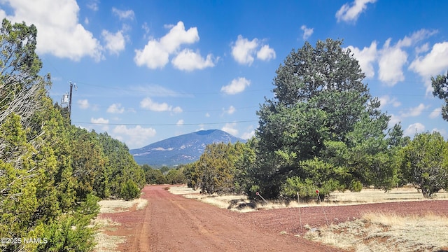 1385 E Birchwood Dr, Williams, AZ 86046