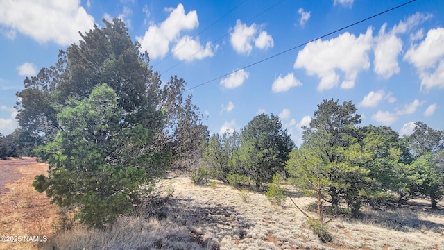 1385 E Birchwood Dr, Williams, AZ 86046