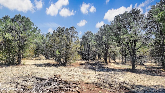 1385 E Birchwood Dr, Williams, AZ 86046