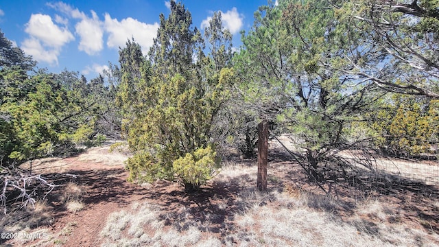 1385 E Birchwood Dr, Williams, AZ 86046